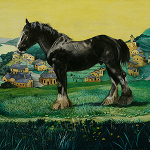 ‘Bear’ Shire Stallion