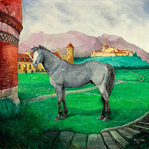 Dapple Grey Stallion